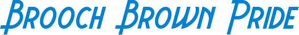 Brooch Brown Pride